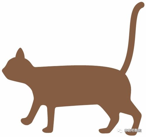 平面設(shè)計(jì) 視覺語(yǔ)言的魔法與藝術(shù)